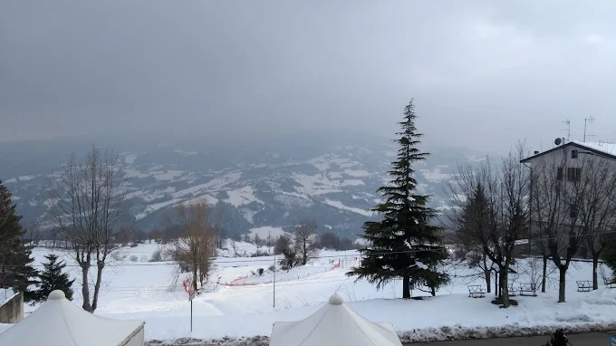 Bosco innevato nell’Appennino Reggiano
